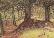 Richard Redgrave,RA Parkhurst Woods,Abinger (mk46) oil painting